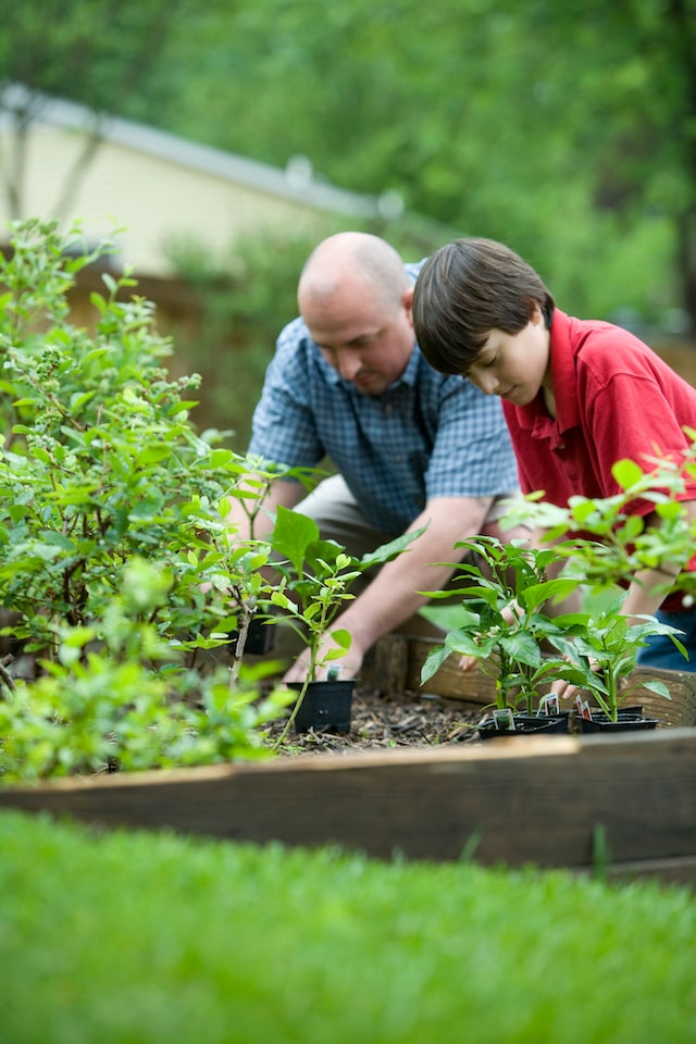 Planting & Early Care