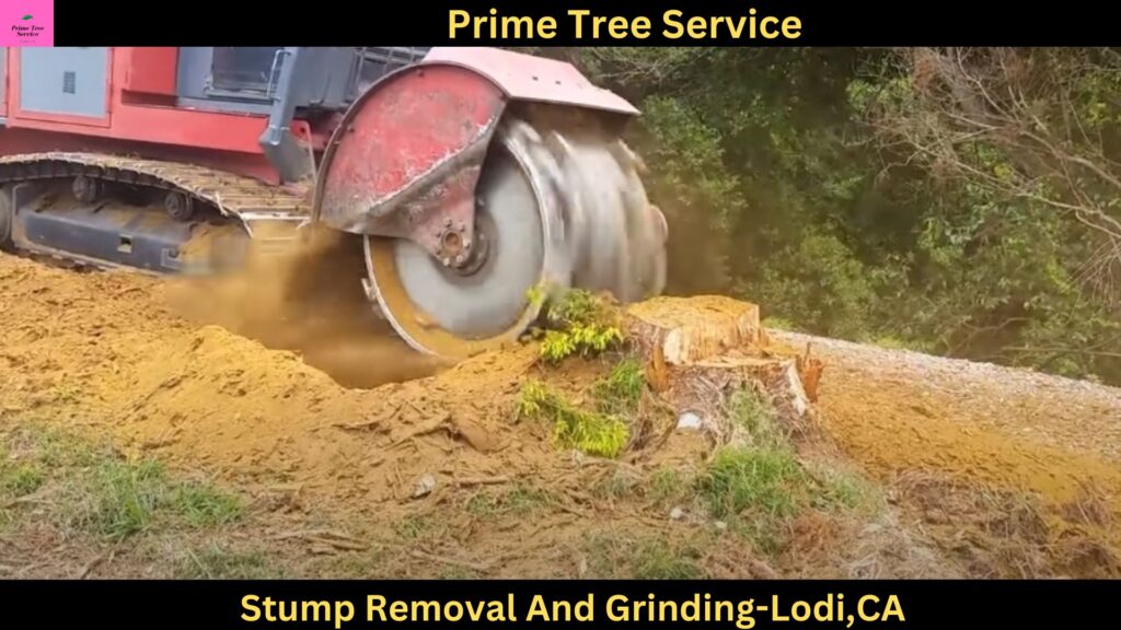 Stump Removal And Grinding in Lodi,CA