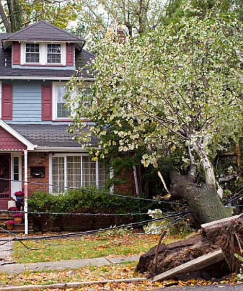 Property Damage Concepts with a Fallen Tree and Downed Power Wires.