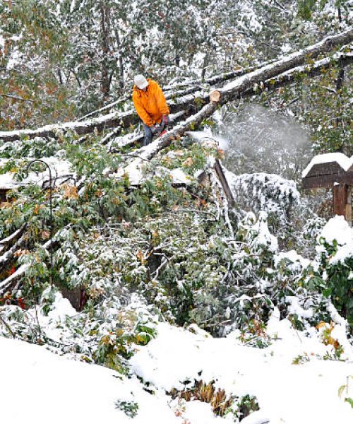 Man on roof cutting fallen tree with chainsaw